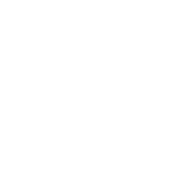 Bikini Village