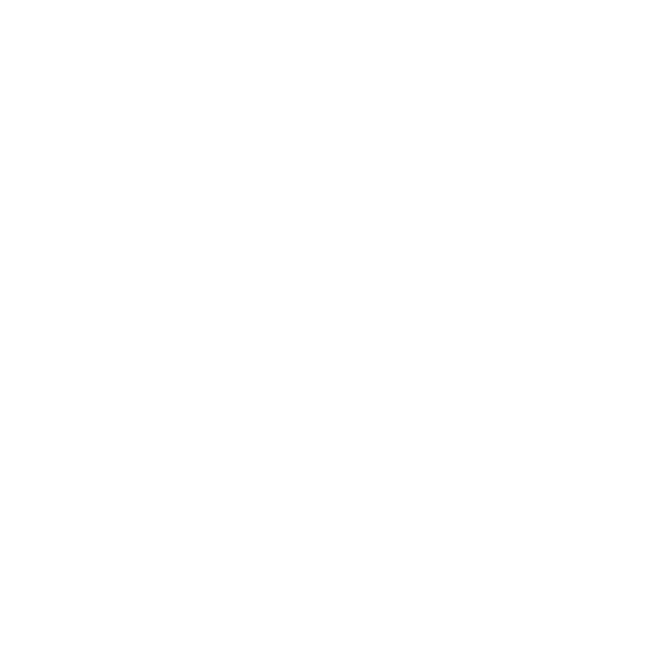 Visit the USA Logo